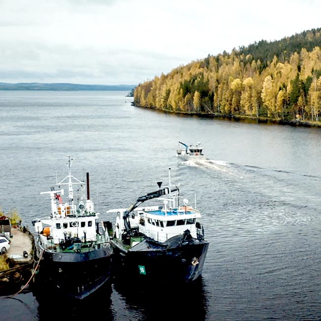 Pielisen Kalajalosteen alukset Koudansalmessa Pielisellä.